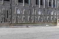 City Life in Toronto: Tall Trees and Concrete Road