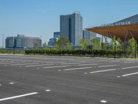 City Life: Urban Design in an Asphalt Parking Lot