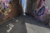 the view of a very narrow alley with grafitti on it as a blurry camera lens and a building on one side