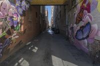 the view of a very narrow alley with grafitti on it as a blurry camera lens and a building on one side