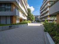 two people riding skateboards down a paved pathway next to buildings on a sunny day