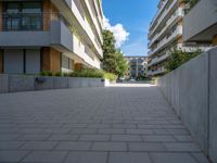 two people riding skateboards down a paved pathway next to buildings on a sunny day