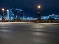 city lights shine in the night sky with buildings on the background near the bridge, on which is a statue