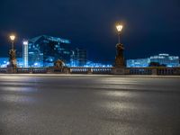 city lights shine in the night sky with buildings on the background near the bridge, on which is a statue