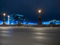 city lights shine in the night sky with buildings on the background near the bridge, on which is a statue