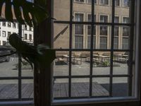 an open window looks into a courtyard with lots of windows in it and there is a plant next to the window