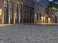 an image of city street in the evening light on cobblestone pavement with a fire hydrant