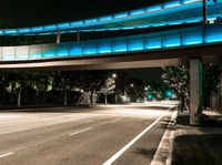 City at Night: Traffic Light in the Business District