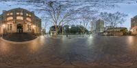 the view of a city from under a tree in wintertime on a panoramic lens