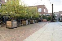 City Open Spaces: A Concrete Surface View