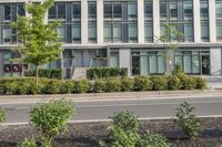two trees sitting in the middle of a park on a city sidewalk with a large office building across the street