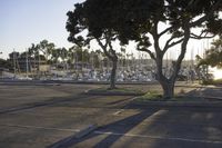 a view of a parking lot with boats and trees in it's foreground