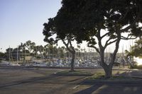 a view of a parking lot with boats and trees in it's foreground