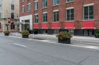 a street with tall buildings along it and flowers growing in containers next to the curb