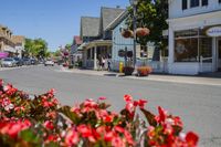City Road: Asphalt with Houses