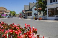 City Road: Asphalt with Houses