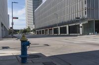 City Road in Texas: Asphalt under the Daylight Sun