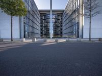 the office building is next to the trees near the sidewalk and walkways with trees