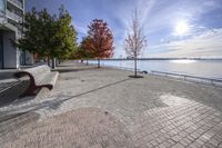 a view of trees and the sun behind a bench on a brick walkway next to the water