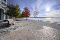 a view of trees and the sun behind a bench on a brick walkway next to the water