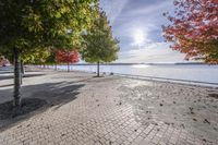 a view of trees and the sun behind a bench on a brick walkway next to the water