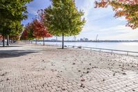 a view of trees and the sun behind a bench on a brick walkway next to the water