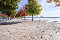 a view of trees and the sun behind a bench on a brick walkway next to the water