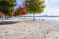 a view of trees and the sun behind a bench on a brick walkway next to the water