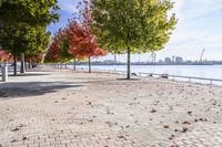 a view of trees and the sun behind a bench on a brick walkway next to the water