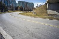 City Road in Residential Area with Trees