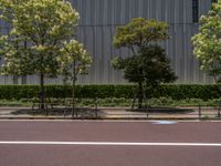 empty road with white lines on the streets of city area against cloudy blue sky on a sunny day