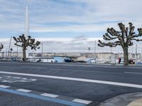 a road with the word'stop to go'painted on it and trees next to a fountain