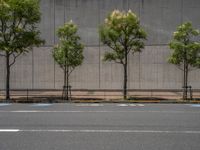 empty road with white lines on the streets of city area against cloudy blue sky on a sunny day