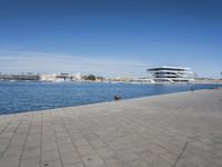 A City Road in Valencia: Coastal Views and a Never-ending Horizon