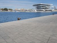 A City Road in Valencia: Coastal Views and a Never-ending Horizon
