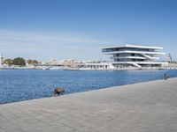 A City Road in Valencia: Coastal Views and a Never-ending Horizon