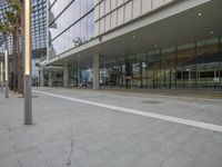 a city sidewalk and a tall glass building behind it in the daytime with sunlight shining