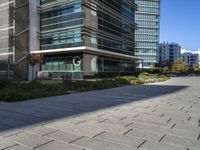 a city sidewalk in front of buildings in the sun light time with a street and grass