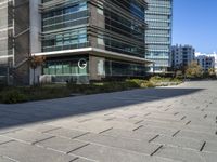 a city sidewalk in front of buildings in the sun light time with a street and grass