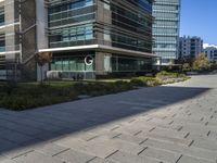 a city sidewalk in front of buildings in the sun light time with a street and grass