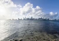 the view of a city from the shore of a bay near the ocean is clear and bright