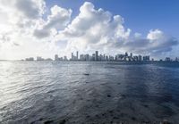 the view of a city from the shore of a bay near the ocean is clear and bright