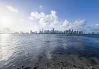 the view of a city from the shore of a bay near the ocean is clear and bright