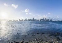 the view of a city from the shore of a bay near the ocean is clear and bright