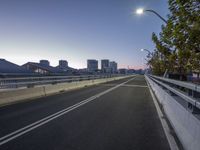 a view of city skyline from across a bridge at twilight time, with two street lights over it