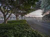 a city street by trees and bushes under an overpass at dusk with cars driving on it