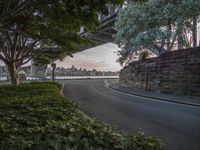 a city street by trees and bushes under an overpass at dusk with cars driving on it