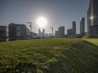 the sun shines over the grassy city skyline in this photo from the green grassy area