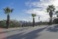 palm trees line the street next to a hill near a city skyline and a cityscape