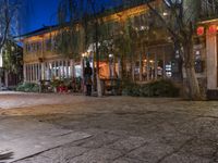 people are walking and walking down the street at night time at a city square, surrounded by trees